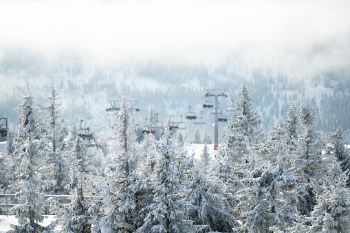 A DSLR photo of a man skiing in deep powder snow at Snowbird ski resort in Utah, USA. Close to 2 feet of new snow on the slope, The skier is in action and alone with powder behind him. The trees are cover of frost and snow and the sky is clear blue on this epic winter day.