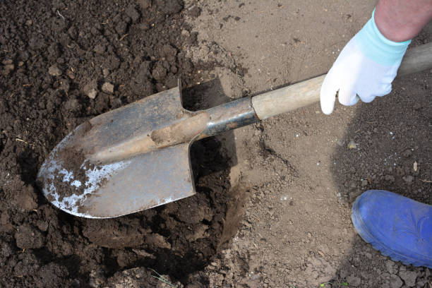 istock woman digging in the garden copy space 1955098590