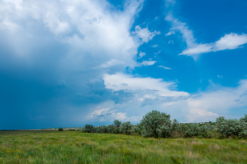 White clouds over the Blooming Steppe near the Tiligul estuary, Ukraine