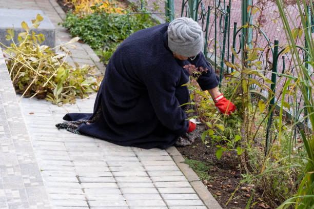 istock autumn work in the garden. pruning plants before frost 1955152853