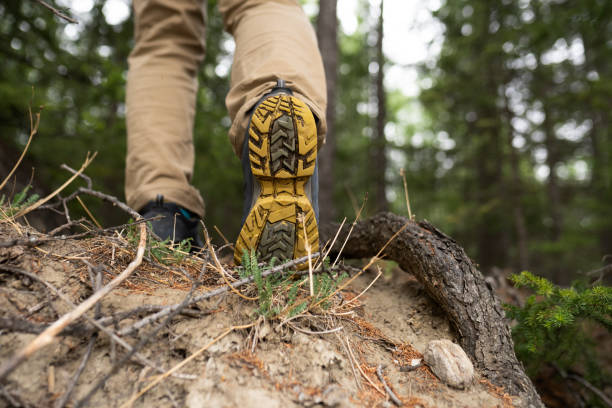 istock hiker man hiking in the woods 1955153399