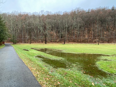 Flooded green lawn by the side of a paved driveway after a big fall rain storm in Stroudsburg, Pennsylvania