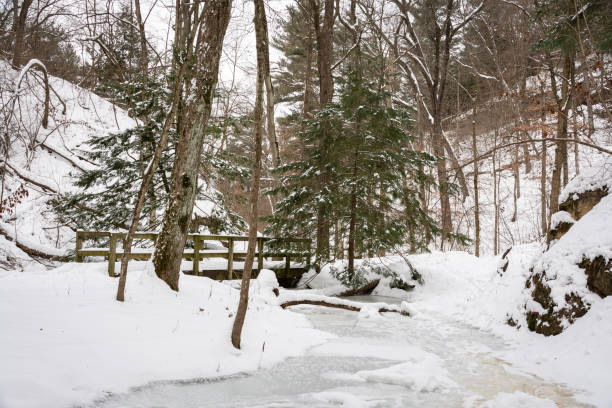 istock Winter Wonderland at Starved Rock State Park 1955169771