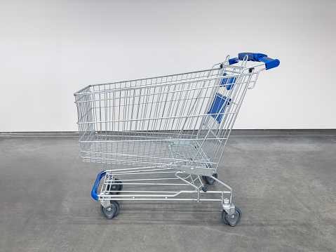 Full length portrait of a man waiting in line with a shopping cart and a paper bag isolated on white background