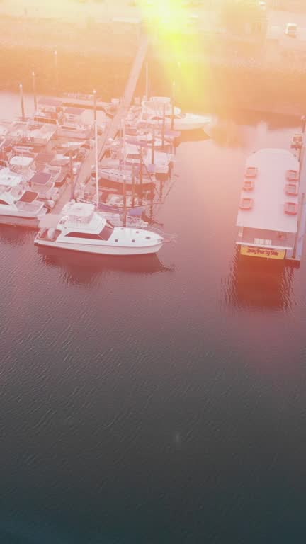 Vertical Video Drone Clip Commercial Marina with Shrimp Boats in Puerto Peñasco, Sonora Mexico at Dusk