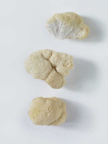 Fresh Lion’s Mane Mushrooms