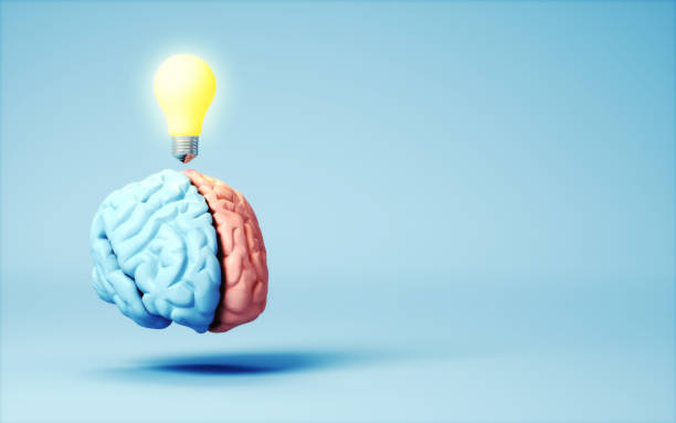 istock Yellow Light Bulb Over Human Brain on Soft Blue Background, New Idea and Thought Concept 1955230146