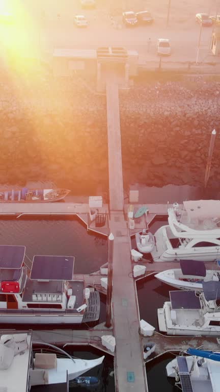 Vertical Video Drone Clip Commercial Marina with Shrimp Boats in Puerto Peñasco, Sonora Mexico at Dusk