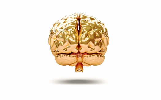 3d Render Human Brain Gold Rear View, Can Be Used For Concepts Such As Idea, Thought, Dementia, Parkinson's Disease, Alzheimer's, Mental Seizures (Object + Shadow Clipping Path)