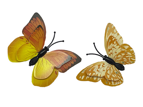 Orange-yellow and brown rippled butterflies on a white background. Two bright butterflies on a white background. Set by two butterflies