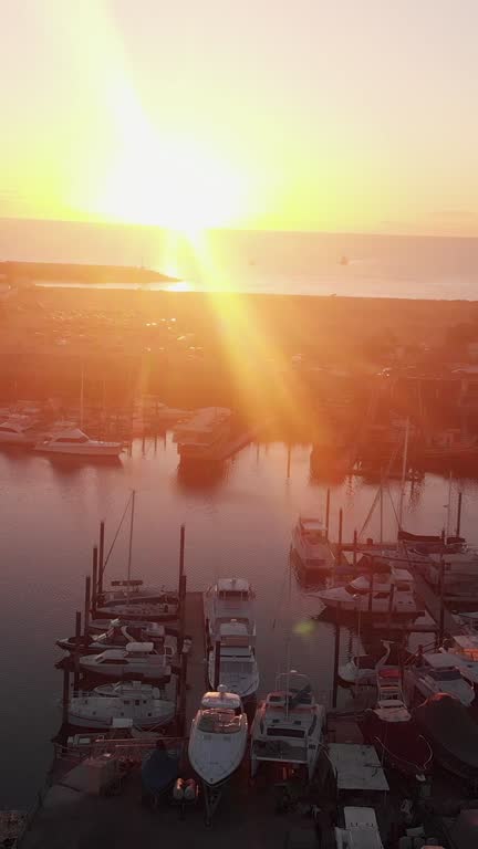 Vertical Video Drone Clip Commercial Marina with Shrimp Boats in Puerto Peñasco, Sonora Mexico at Dusk