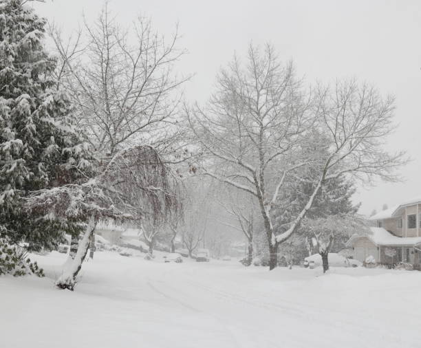 istock Winter Morning on 157A Street, Surrey, Canada 1955272205