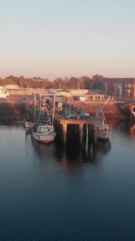 Vertical Video Drone Clip Commercial Marina with Shrimp Boats in Puerto Peñasco, Sonora Mexico at Dusk