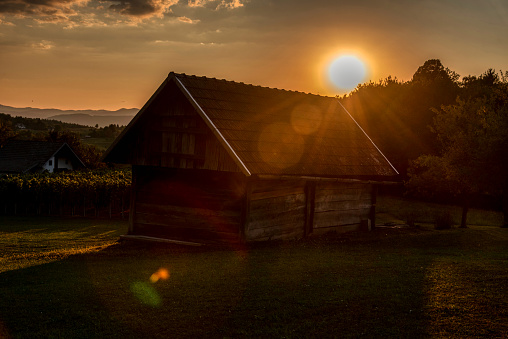 Beautiful sunset in the vineyard of the village with a wooden house, Dolenjska Slovenija