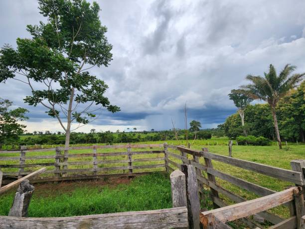 istock View of the rain formation farm 1955337371