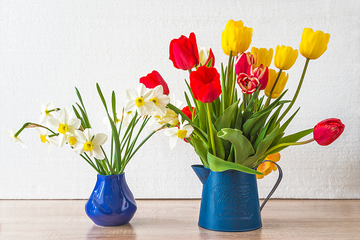 Bunch of red and yellow tulips and white daffodils in blue vases on a wooden table and white background