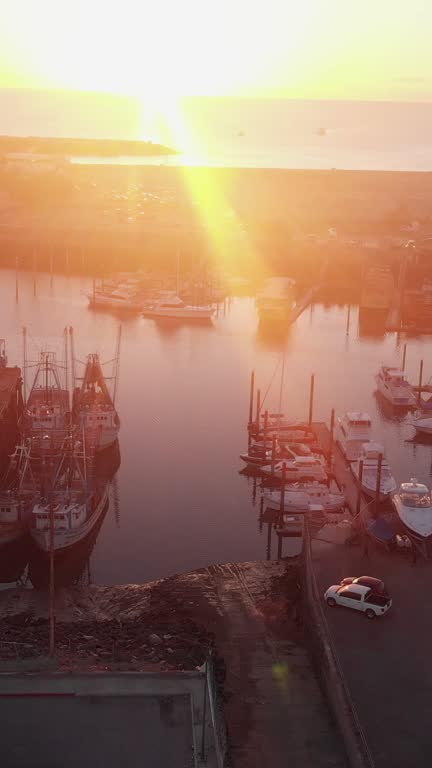 Vertical Video Drone Clip Commercial Marina with Shrimp Boats in Puerto Peñasco, Sonora Mexico at Dusk