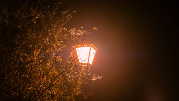 istock Warm light in a foggy night 1955412226