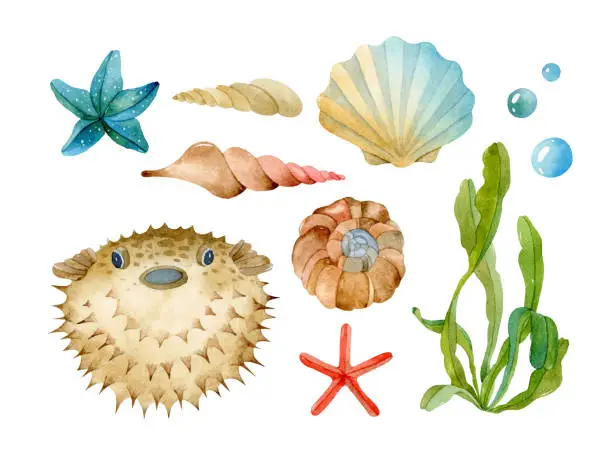 Vector illustration of Sea life watercolor isolated elements set collection