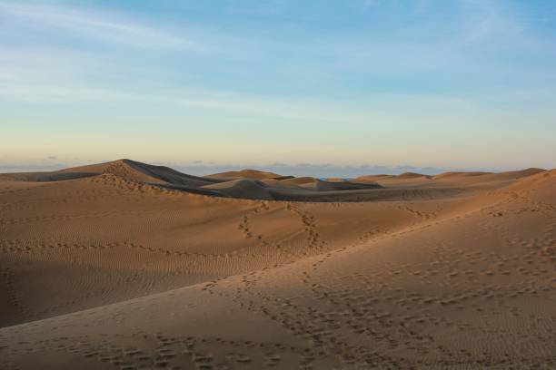 istock Sand dunes of Maspalomas on Gran Canaria in Spain 1955418475