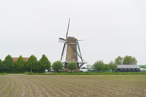 Photograph of a Classic Vintage Windmill in Holland