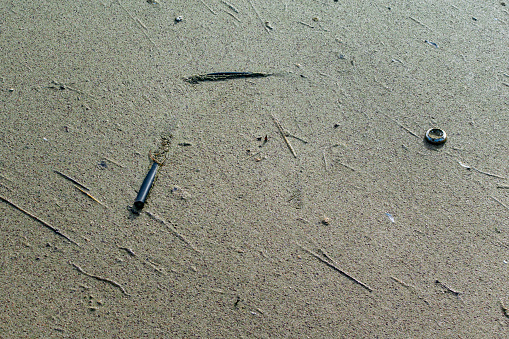 Exceptionally scummy water in a harbour, containing twigs and various other floating objects.
