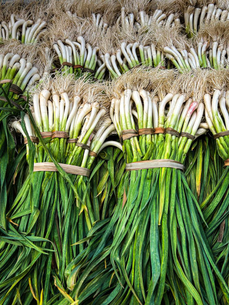 Bunches of green  garlic at a local market stall