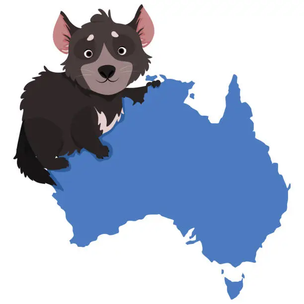 Vector illustration of Tasmanian devil