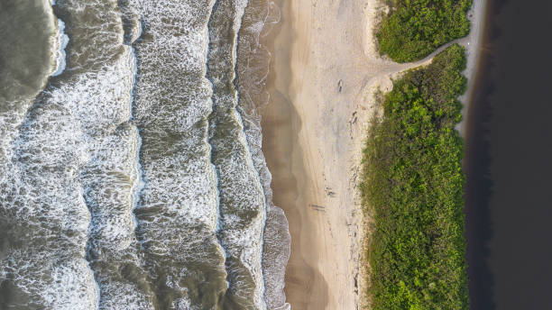 istock Forest region with river and sea 1955530808