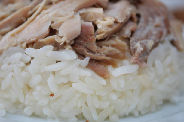istock Boiled chicken breasts and rice on a plate 1955546466