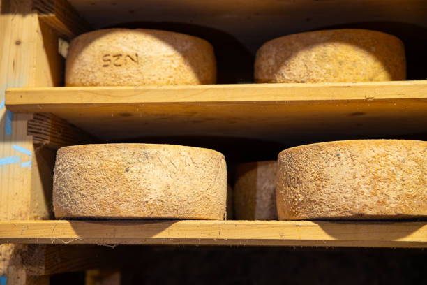 istock cheese cellar ready to eat eating cooking appetizer meal food snack on the table copy space food 1955562249