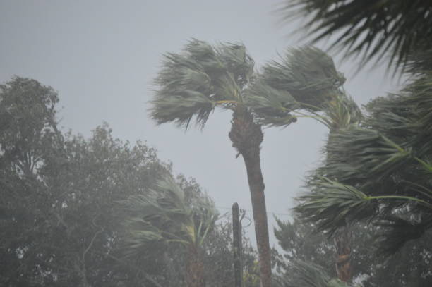 Saint Augustine | Hurricane Ian  | Florida Hurricane Ian in Saint Augustine Florida at Castillo de san Marco national monument bridge of lions stock pictures, royalty-free photos & images