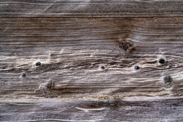 Old barn wood boards on north side of homestead barn building in northern Montana in the USA.