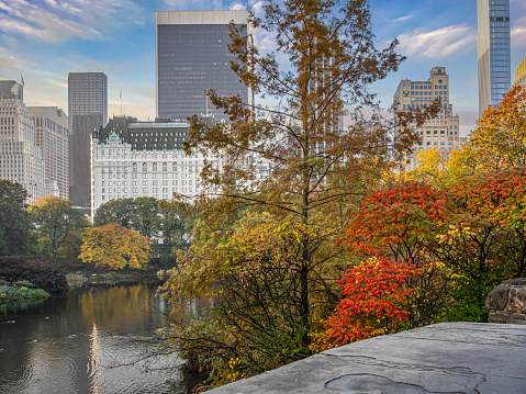 Central Park, New York City in autumn