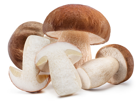 Porcini mushrooms isolated on white background. File contains clipping path.