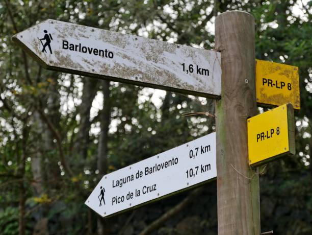 istock Hiking on La Palma 1955657738