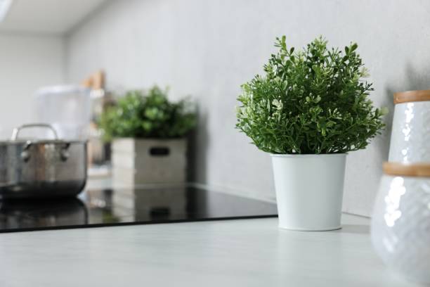 istock Potted artificial plants on white countertop in kitchen 1955689085