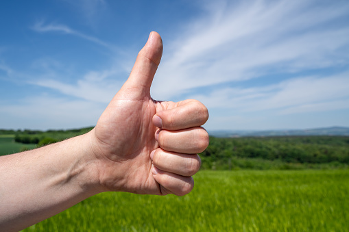 Male hand show thumb up in the nice landscape
