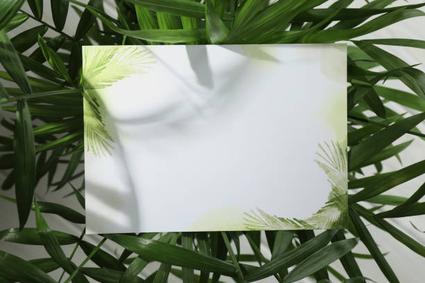 istock Blank invitation card and green leaves on white background, top view. Space for text 1955734578