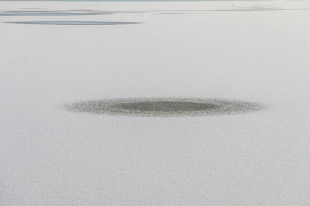 Flooded meadow frozen in winters. Bas-Rhin, Alsace, Grand Est, France, Europe.