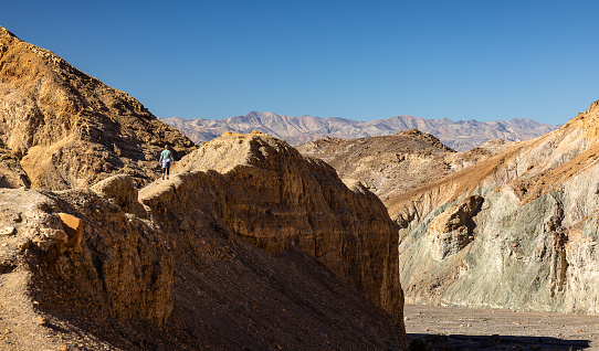 Adventurous women hiking through the captivating beauty of Mosaic Canyon in Death Valley National Park, California. Surrounded by towering marble walls, their journey unfolds amidst nature's stunning mosaic of colors