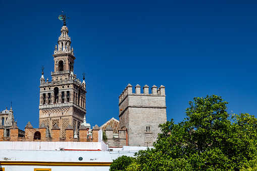 The cathedral, santa maria de la sede, and the Giralda, Sevila, Spain,