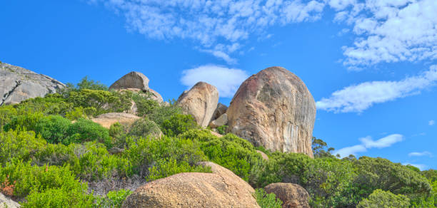 boulders and wilderness - and blue sky with clouds - straggling 뉴스 사진 이미지