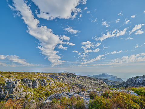 Nature Photos of the âflatâ top of  Table Mountain - Cape Town, Western Cape