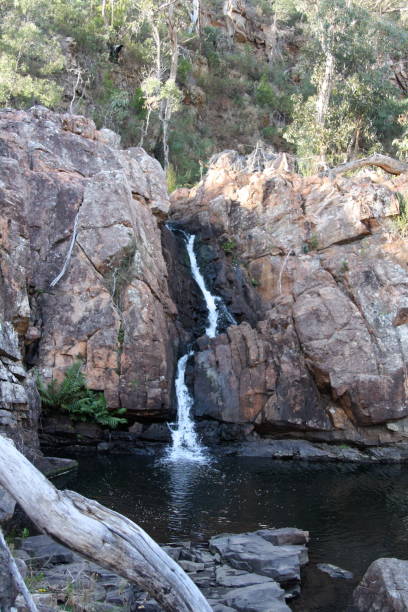 istock Campians National Park in Australia 1955780946