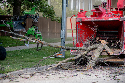 A red wood chipper and a green crane arm are working together in a yard. The wood chipper is a large machine that can reduce wood into chips, while the crane arm is a part of another machine that can move heavy objects. The image captures the machines in action and the wood chipping result.