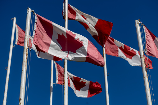 Canada flags in blue sky