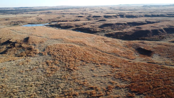 istock a field that has an open field next to a small pond 1955823342