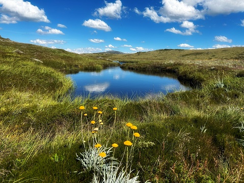 Alpine tarn in the high country at Falls Creek in Victorian