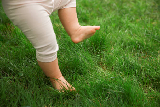 istock Little child walking on green grass outdoors, closeup. Space for text 1955840391